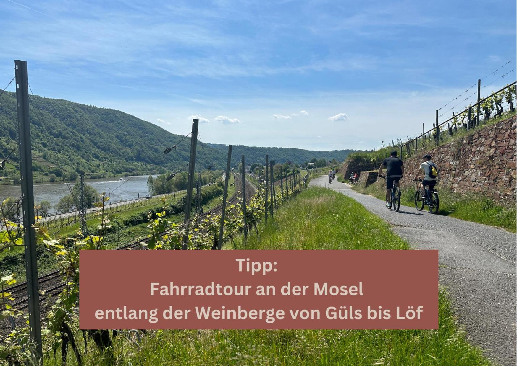 New York Apartment - Fuer Freunde & Familien, Stadtnah, Parkplatz, E-Ladestation, Gitterbox Fuer Fahrraeder, Fitnessstudio, Digitale Gaestemappe Mit Restaurant- Und Unternehmenstipps Koblenz  Exteriör bild